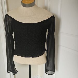Elegant Black Smocked Sheer Long Sleeve Blouse